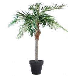 Plante artificielle - Différents modèles: bambou, palmier,
arbuste…