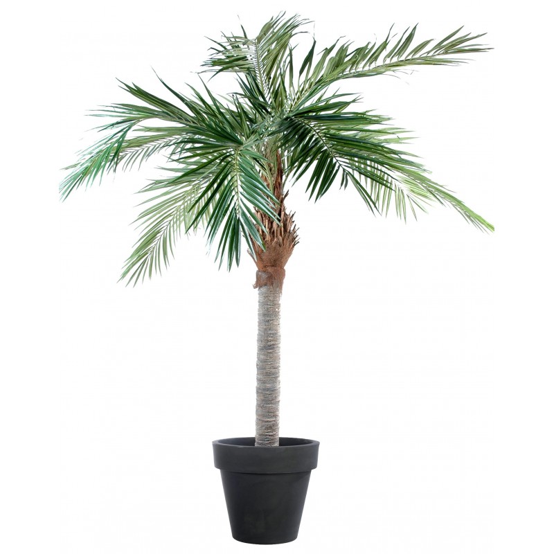 Plante artificielle - Différents modèles: bambou, palmier,
arbuste…