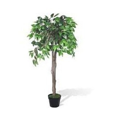 Plante artificielle - Différents modèles: bambou, palmier,
arbuste…
