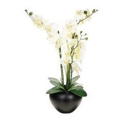 Plante artificielle - Différents modèles: bambou, palmier,
arbuste…